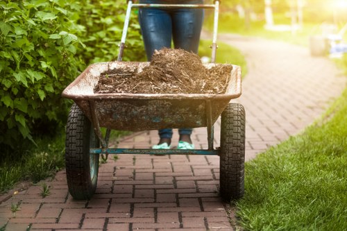 Choosing the right waste removal service for your business